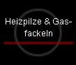 Heizpilze & Gasfackeln - Vermietung und Verkauf